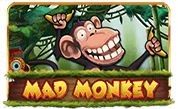 Mad Monkey H5